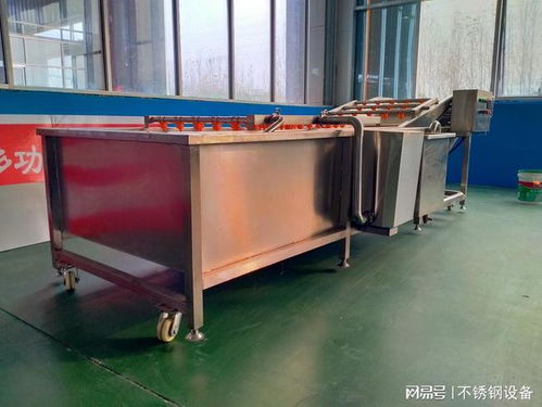現代食品加工中的包冰技術 從魚片到鴨掌的冷凍保鮮革命
